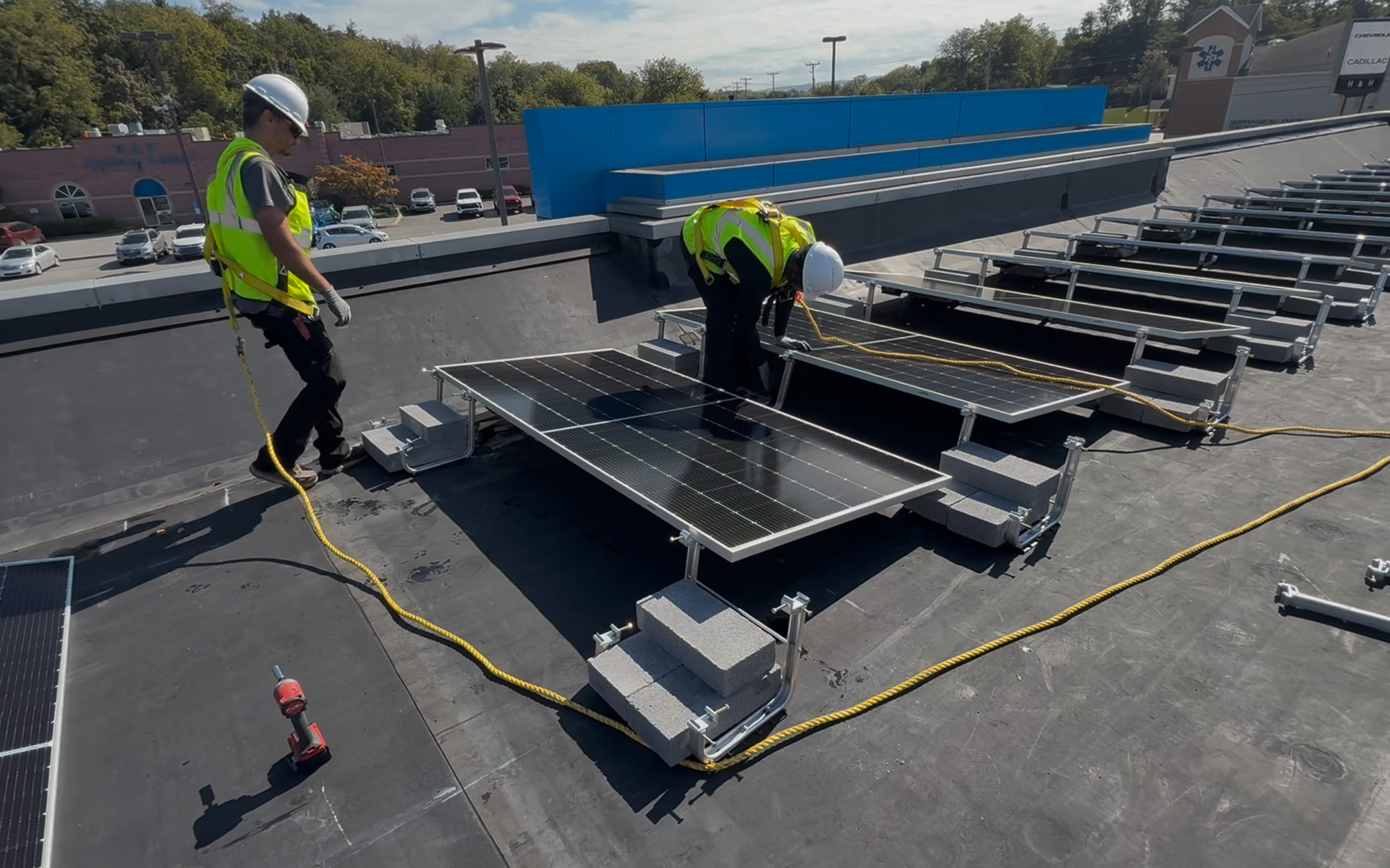 Bw Solar Black Wolf Solar | Commercial Solar Energy Solutions