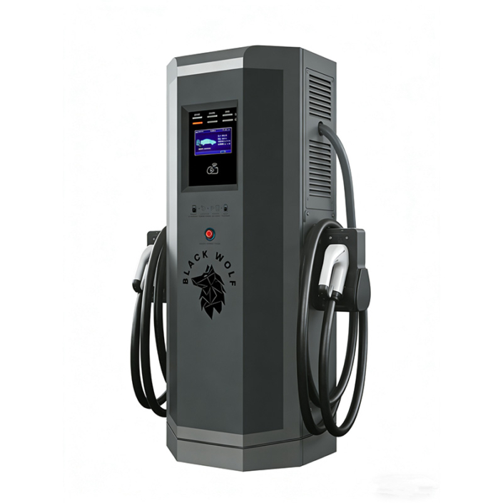 Bw Ev Charger 2